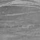 Imagen para el artículo titulado Edward Munch dejo un mensaje oculto en su obra El Grito